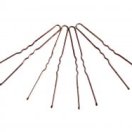 19-0030 Набор серебряных шпилек для волос.Длина 4,5 см (10 штук)